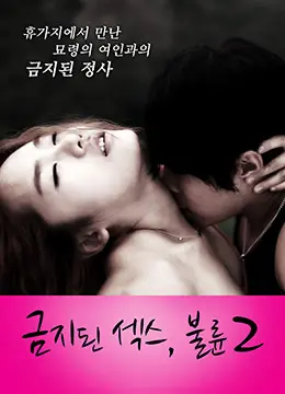 禁止性爱：通奸2 海报