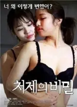 小姨子的秘密 海报